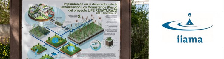 IIAMA-UPV fortalece la biodiversidad con la reintroducción de ejemplares de gallipato en una EDAR, con el LIFE Renaturwat