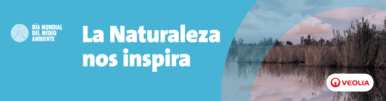 banner-medium