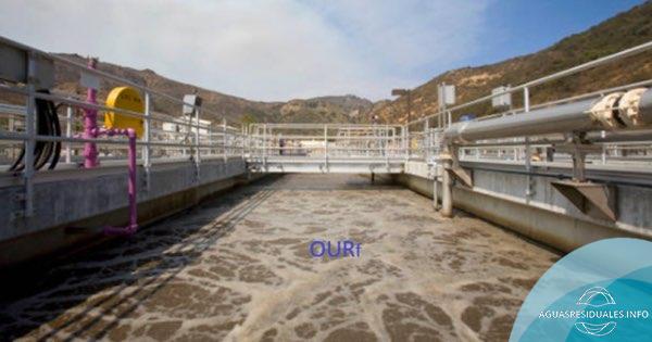 Variantes de la tasa de consumo de oxígeno en procesos de fangos activos con eliminación de nitrógeno