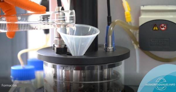 An&aacute;lisis del fraccionamiento de la DQO, relaci&oacute;n de nutrientes y nitrificaci&oacute;n de un proceso de fangos activos de una planta industrial