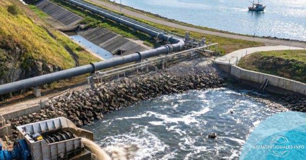 La regeneración de la ría de Ferrol: El papel vital de la trituración en el saneamiento y la vuelta al marisque