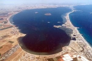 Soluciones Científicas para el Mar Menor