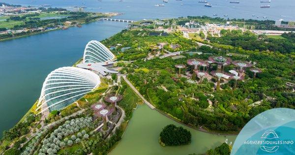 Una solución revolucionaria impulsa el movimiento sostenible del agua de Singapur, líder mundial