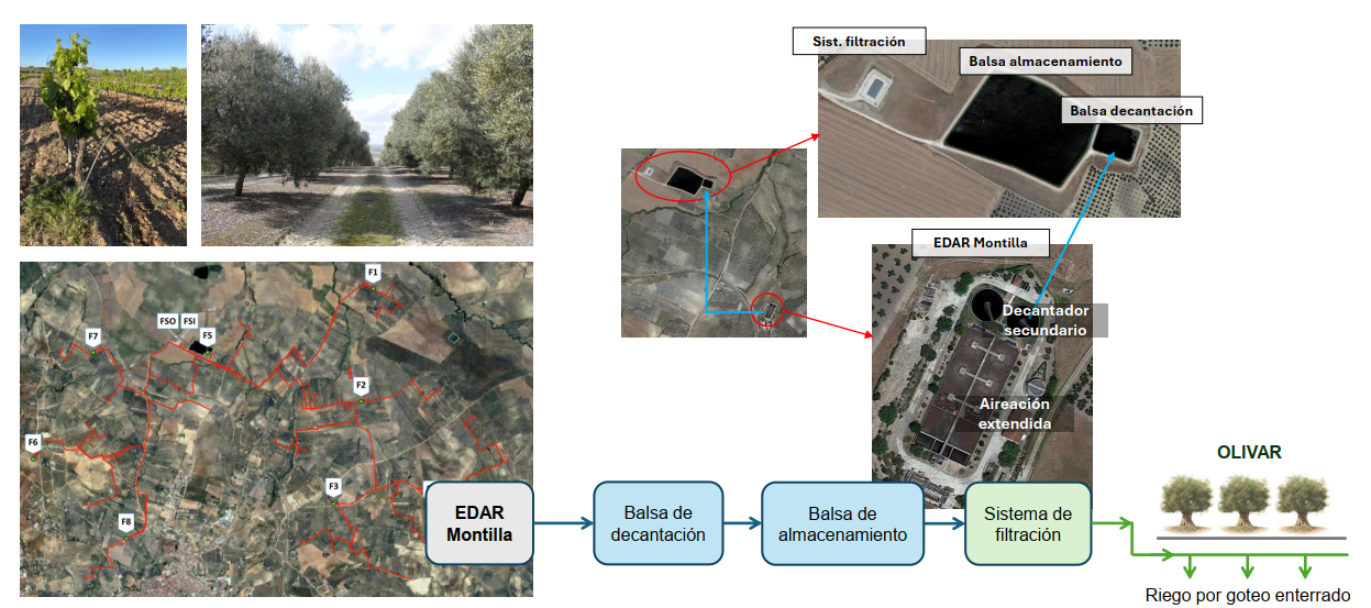 Contenido del art?culo