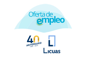 Jefe de obra