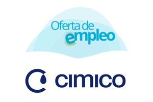 Ingeniero jefe de proyectos
