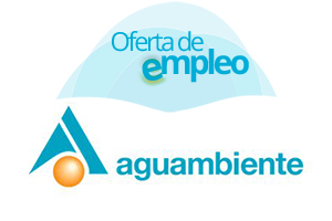 Ingeniero/a Eléctrico/a