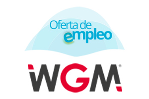 Consultor de Mantenimiento / GMAO