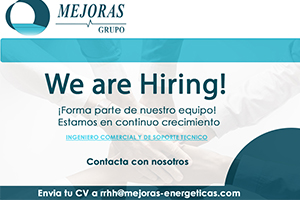Ingeniero Comercial y de Soporte Técnico