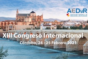 XIII Congreso Internacional de AEDyR