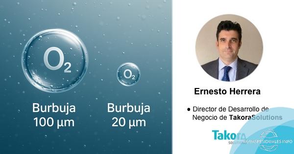 ¿Por qué son importantes las microburbujas en sistemas DAF y de Ozonización y cuáles son los beneficios de reducir su tamaño?