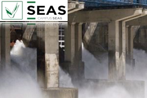 SEAS - Curso de Dirección y Gestión de Empresas de Aguas