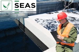 SEAS - Curso de Depuración de Aguas Residuales