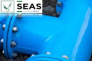 SEAS - Curso de Sistemas de Abastecimiento de Agua Potable