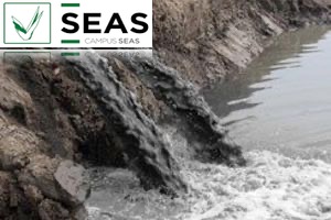 SEAS - Curso de Hidrología Urbana y Redes de Alcantarillado