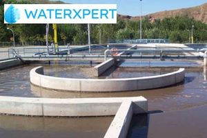 Waterxpert: Curso Básico de Depuración de Aguas Residuales Municipales