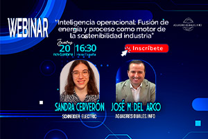 WEBINAR "Inteligencia operacional: Fusión de energía y proceso como motor de la sostenibilidad industria"
