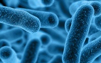 Control de Legionella