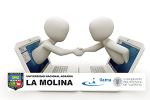 El IIAMA organiza un taller virtual sobre humedales artificiales con la Universidad Nacional Agraria de La Molina en Perú