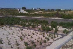 La ACA impulsa la mejora del saneamiento de Vallmoll en la comarca de la Alt Camp de Tarragona