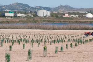 El proyecto europeo 'Aquares' confirma la eficacia de combatir la falta de agua con la reutilización