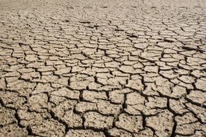 Europa frente al desafío del agua: Hacia una estrategia común de resiliencia hídrica