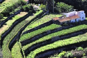 El Alcalde de Vallehermoso en la Isla de la Gomera prohibe el uso del agua potable para uso agrícola y lavado de vehículos
