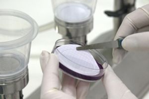 La Cátedra FACSA-UJI organiza un seminario gratuito dedicado al control de la calidad del agua de consumo