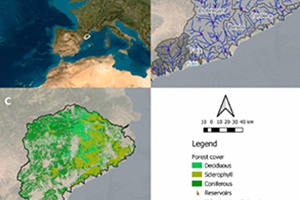 Un nuevo estudio del ICRA-CERCA revela el impacto de los aclareos forestales en el agua "azul" de las cuencas mediterráneas