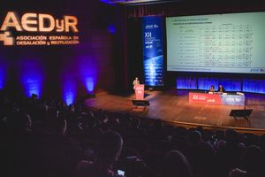 Conclusiones sobre el XII Congreso Internacional de AEDyR celebrado en Toledo