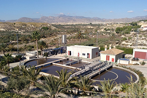 Ensayo experimental sobre suelo agr&iacute;cola del efecto del fango deshidratado y compostado de la EDAR de Abanilla en Murcia