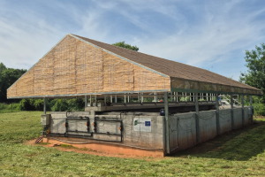 LIFE BIODAPH2O refuerza el potencial de la naturaleza para eliminar PFAS y micropl&aacute;sticos en la regeneraci&oacute;n de aguas residuales