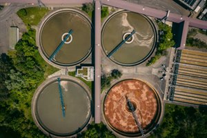 Un estudio internacional indica que las bacterias superresistentes de las plantas depuradoras podrían amenazar la salud global
