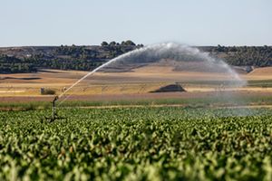 SUEZ Agricultura, la mejor solución para comunidades de regantes tradicionales
