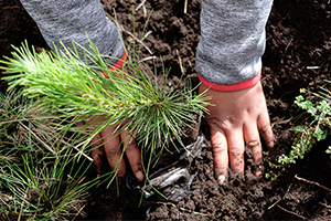 Las Soluciones Basadas en la Naturaleza para mejorar las iniciativas de agua y saneamiento