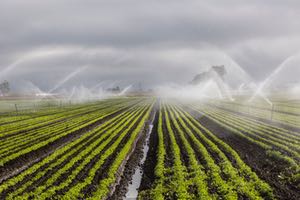 Aplican Inteligencia Artificial para la reutilización de aguas residuales y sus nutrientes en el sector agrícola