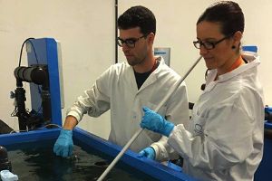 España es uno de los países de la UE con mayor exposición a disruptores endocrinos en pescados y mariscos