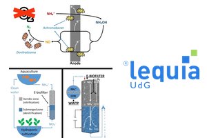 Una tesis del LEQUIA explora dos tecnologías bioelectroquímicas para eliminar amonio de aguas contaminadas