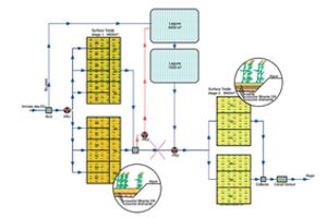 Conoce nuestro nuevo curso ON-LINE "Concepto y Diseño de Humedales Verticales para el Tratamiento de Aguas Residuales"