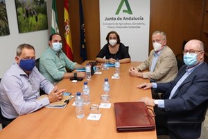 ASA expone ante la Junta de Andalucía áreas estratégicas para la gestión sostenible del agua urbana