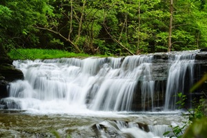 Un método innovador permite capturar plomo y cadmio de ríos y balsas de agua de forma selectiva
