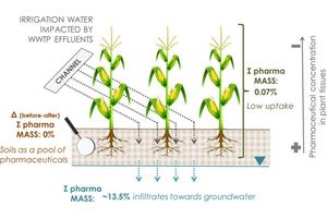 Riego de cultivos con aguas superficiales contaminadas con f&aacute;rmacos y metales traza: &iquest;atenuaci&oacute;n natural o riesgo para la salud?