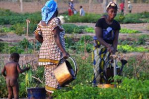 REMOSA y su apoyo en la promoción de sistemas sostenibles para la recogida de agua de lluvia en Mali