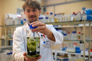 Los plásticos de los ríos pueden albergar potenciales patógenos y genes de resistencia a antibióticos