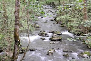 Cuando se detecte un vertido irregular en un río, es imprescindible llamar al 112