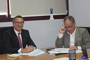 La nueva Dirección de ASA celebra su primer Comité en la sede de la asociación en Sevilla