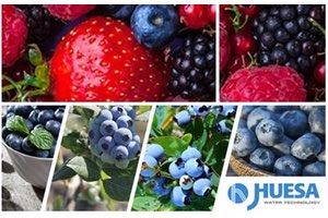 J. Huesa participa en el 7º "Congreso Internacional de Frutos Rojos" el 22 y 23 de junio en Huelva