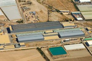 Producción récord de las desaladoras de ACUAMED en la cuenca del Segura