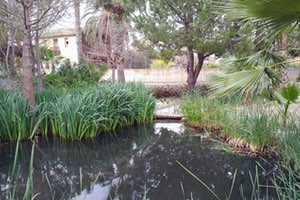 Un estudio de la Cátedra aplica los principios de economía circular en el sector del agua mediante el uso de humedales artificiales