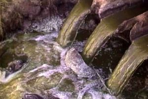 La Agencia Vasca del Agua preocupada por los vertidos directos sin depurar